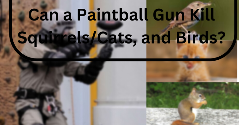 Can a Paintball Gun Kill Squirrels/Cats, and Birds?